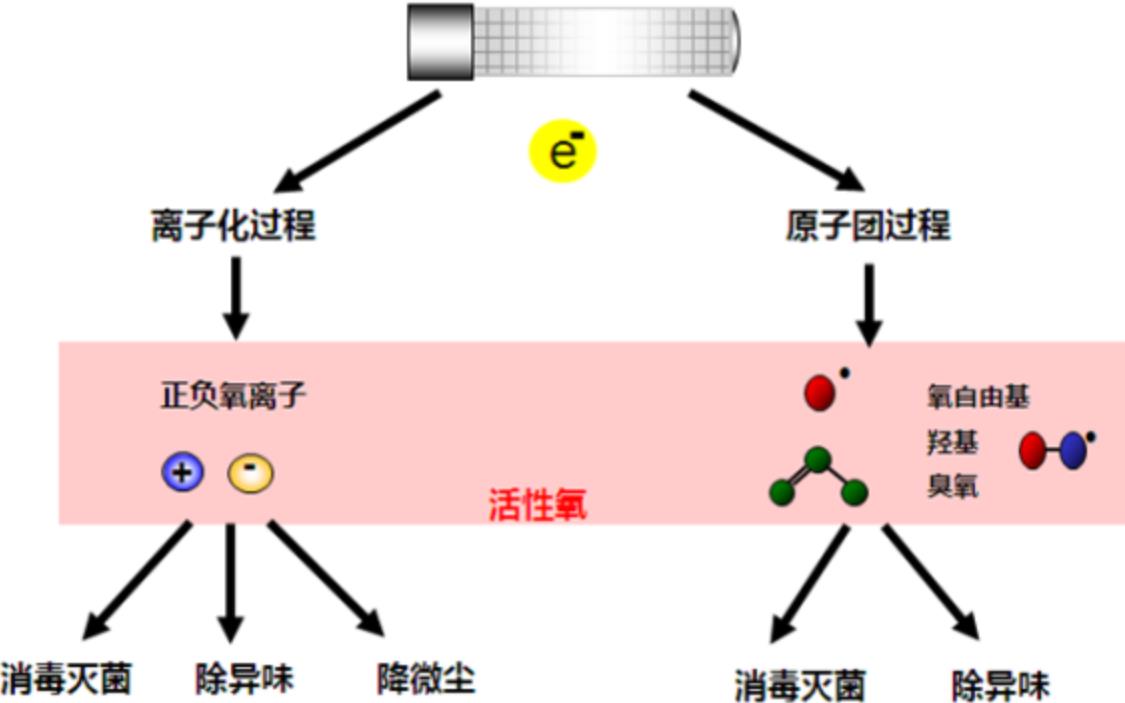 微信截圖_20220713151114.jpg